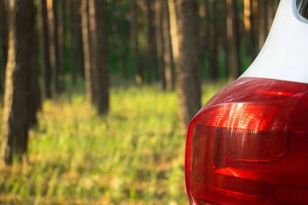A car in a summer forest in the sunlight. Car headlight close-up on a background of trees. The urban population seeks opportunities for recreation in the nature. Camping outdoor activities, picnic in the forest concept