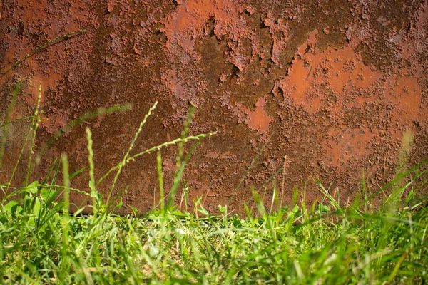 Rusty Brown Old Metal Background Lower Border Green Grass Corrosion — Stock Photo, Image
