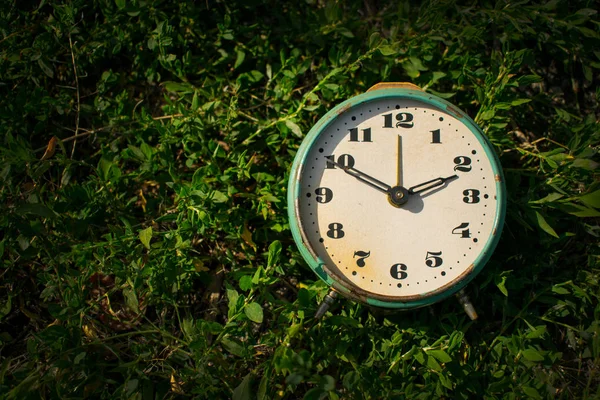 Ρετρό Ξυπνητήρι Φόντο Πράσινο Γρασίδι Αντιγράψτε Χώρο Αντίληψη Χρόνου Επιχειρηματικό — Φωτογραφία Αρχείου