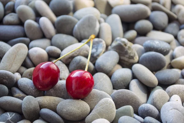 Fresh Organic Red Cherries Background Gray Smooth Sea Pebbles Concept — Stock Photo, Image