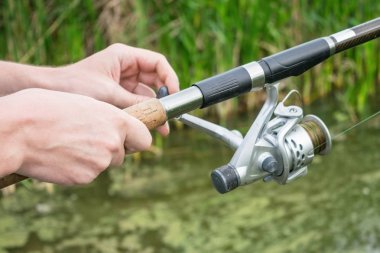 Olta Makarası ile yeşil sazlık nehir kıyısında besleyiciyle eliyle mans. Fishermans reel, olta monte edilmiş. İngiliz tarzı besleyici balıkçılık.