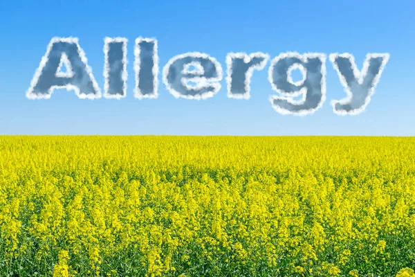 Pollen Allergia Típusai Tünetei Kezelése Szöveg Allergia Felhők Kék Mező — Stock Fotó