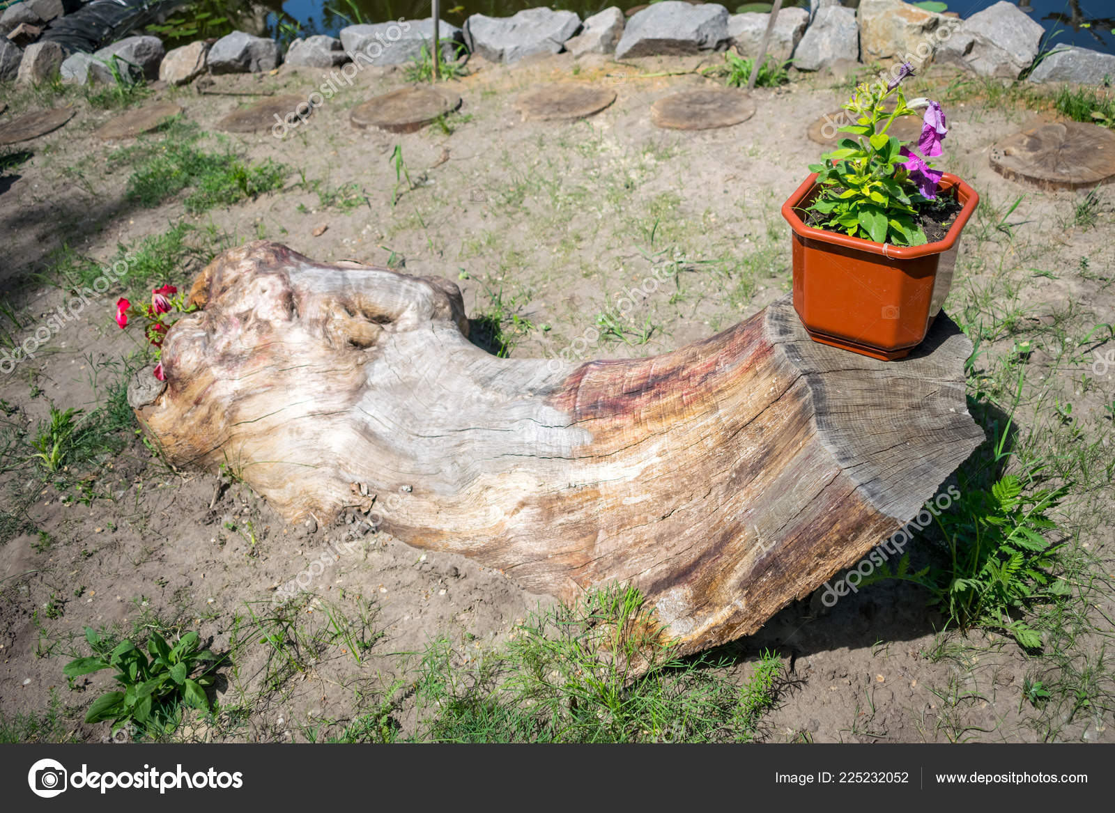 Download Decorative Flower Arrangement Pink Petunia Fallen Old Tree Flower For iPhone Wallpaper Decorative Flower Arrangement Pink Petunia Fallen Old Tree Flower Free HD