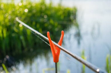 Olta besleyici turuncu tutucu üzerinde duruyor. Rahat güzel doğa ile yeşil sazlık Nehri'nde balık tutma
