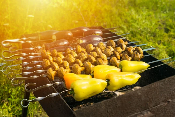 Vegan barbecues: new summer food trend. Grill the bell peppers, mushrooms and eggplants on skewers are roasted on charcoal in the background of nature. Summer picnic, snacks for outdoor recreation