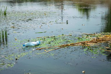 Su kirliliği çevre. Yeşil plastik şişe ve şehir nehir suyu çöpte. Çevre ekolojik kavramı, çevre kirliliği sorunu 