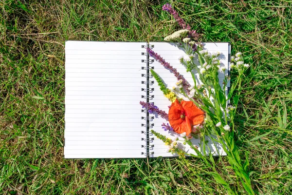 Open notepad with white paper on background of green grass and poppy meadow flowers. Natural, ecological mockup. Blank notebook recycle paper open two page with copy space area on lawn with sunlight