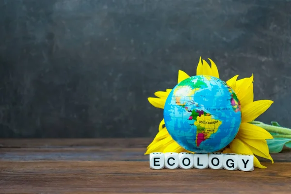 The Earth globe ball against yellow sunflower and the word ecology. Ecology problem, environmental pollution planet concept. Earth Day, World Environment Day