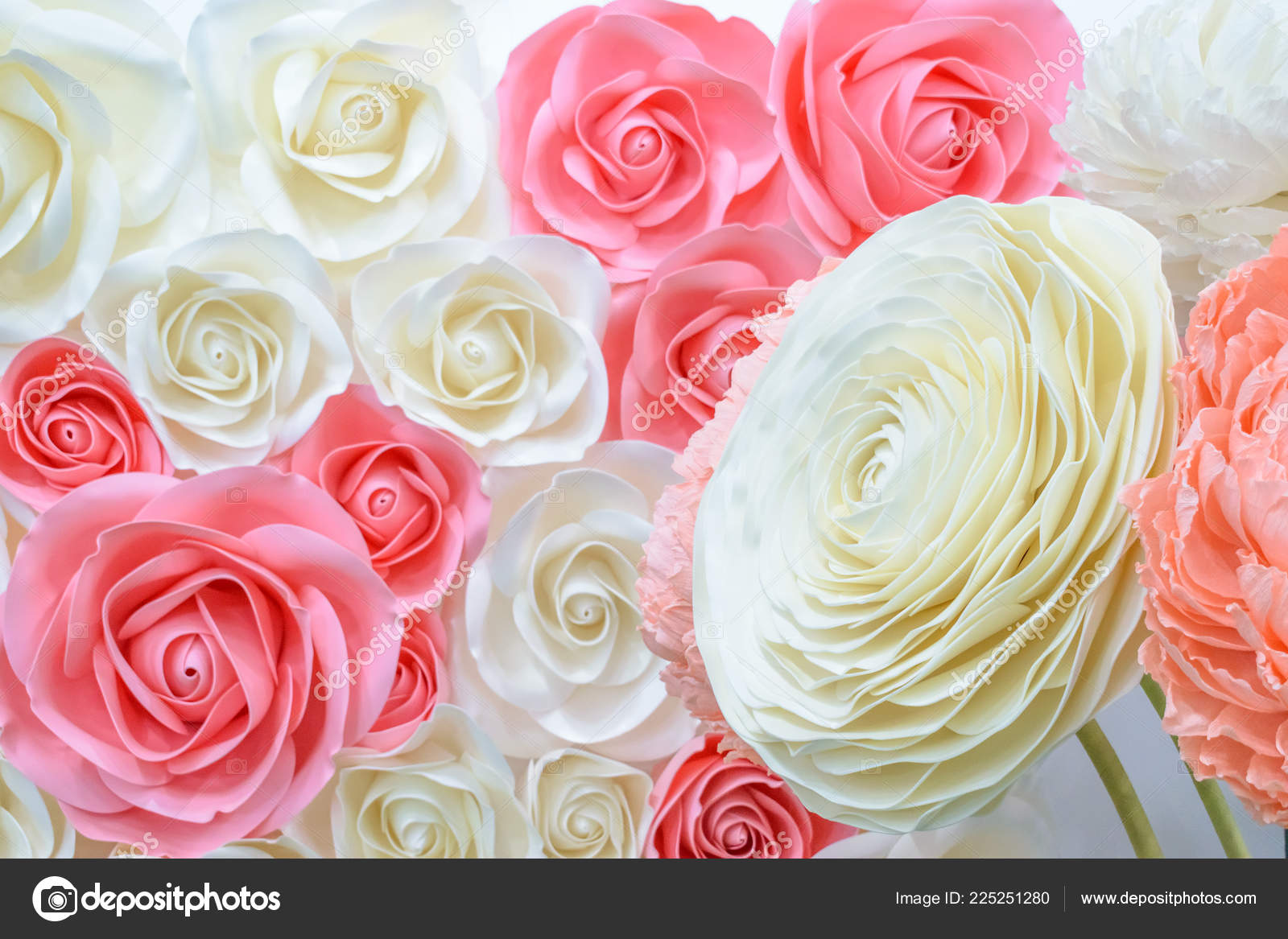 Grandes Flores Papel Gigante Rosa Grande Branco Bege Rosa Peônia fotos,  imagens de © Irrmago #225251280