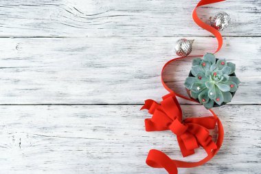 Noel kompozisyon, mockup ile yeşil kaktüs aloe etli bitki, kırmızı kurdele, yay ve beyaz arka plan üzerinde Noel süs gümüş. Modern xmas arka plan mockup
