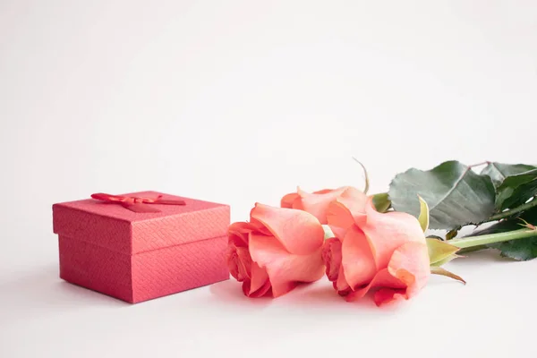 Fresh Red Roses Red Bow Gift Box White Background Valentines — Stock Photo, Image