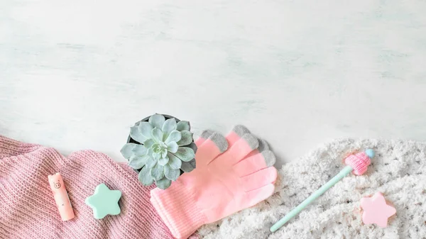 Mockup Invernale Con Abiti Caldi Maglia Rosa Coperta Succulenta Vaso — Foto Stock