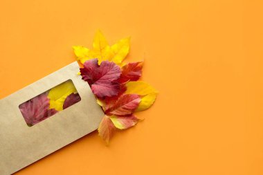 Üstten görünüm, düz sonbahar sonbahar mockup craft Kağıt posta zarf mektup ve kurutulmuş portakal kırmızı yaprakları ile yatıyordu. Kart, kart kopya alanı turuncu zemin üzerine.