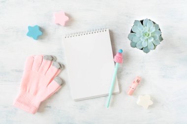 Kış mockup sıcak örme pembe elbise, battaniye, etli pot, Not defteri ve kalem ile. Arka plan kopya alanı ile en az kış pastel renkli.