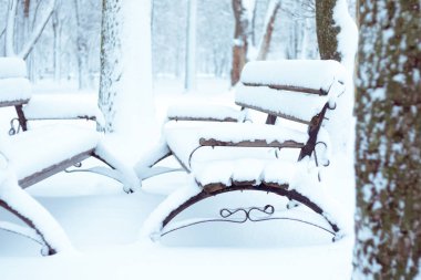 Karla kaplı tezgah şehir eğlence parkı. Dövme metal ve ahşap park bankında ve tarafından ağır kar kaplı ağaçlar. Kış açık hava etkinlikleri