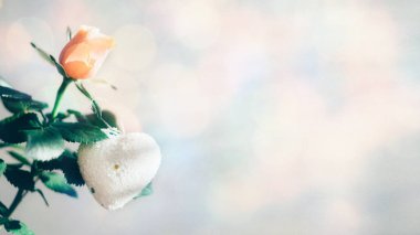 En az modern Sevgililer günü tebrik kartı, afiş, mockup kopya alanı ile. Gri arka plan, seçici odak, sert ışık yeşil yaprakları, pembe beyaz kalpli mercan gül.