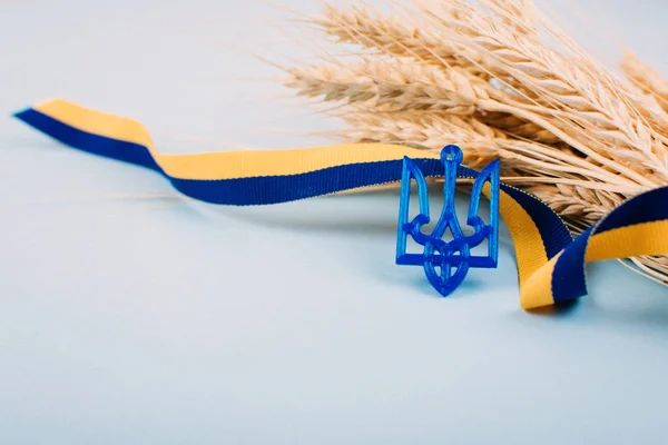 Ulusal sembollü Ukrayna arkaplanı, üç dişli mızrak arması