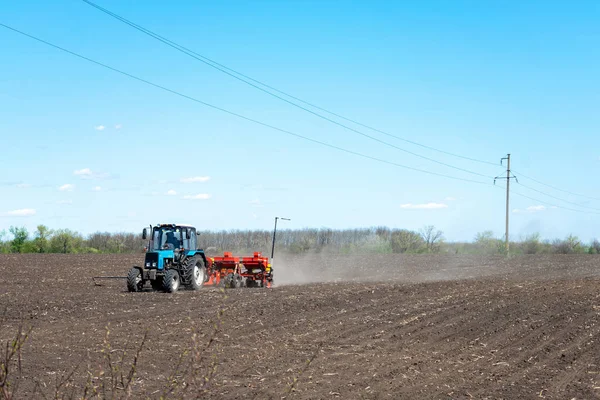 Трактор сеет кукурузу на — стоковое фото