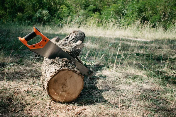 Saw in a log outdoor. Sawing wood for campfire in the forest. Cu — Stock Photo, Image