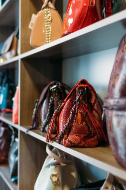 Moda modası Yılan derisi el çantaları bir mağazada, dükkanda