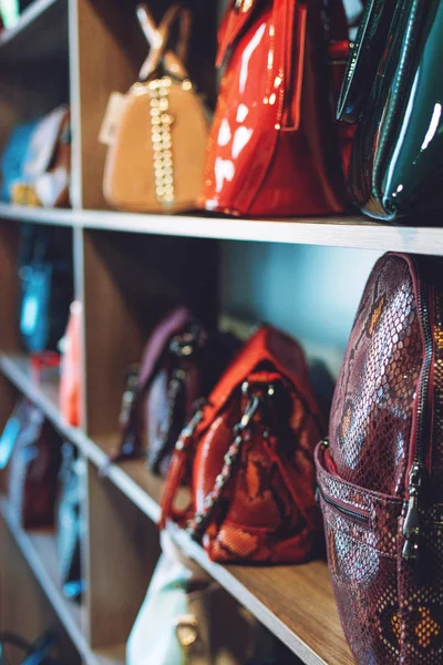 Moda modası Yılan derisi el çantaları bir mağazada, dükkanda — Stok fotoğraf