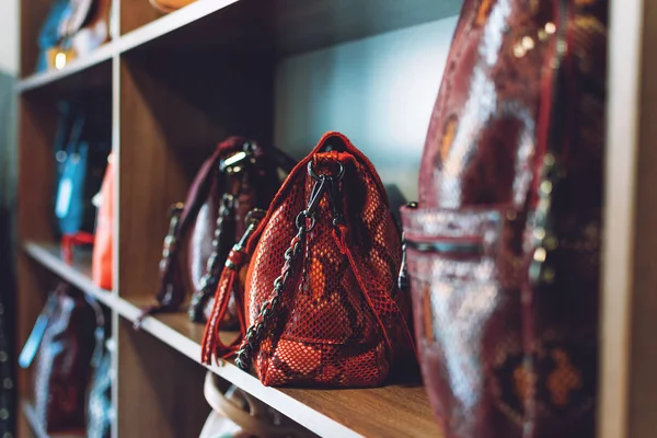 Moda modası Yılan derisi el çantaları bir mağazada, dükkanda — Stok fotoğraf