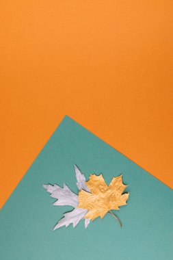 Sonbahar Sonbaharı Arkaplanı. Sonbahar geliyor. Minimal yaratıcı daire!