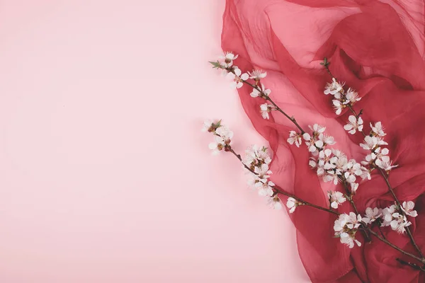 Puesta plana con flores florecientes de sakura de cerezo en pastel rosa y — Foto de Stock