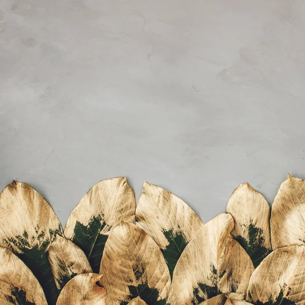 Creative nature background. Gold and green painted leaves on gra
