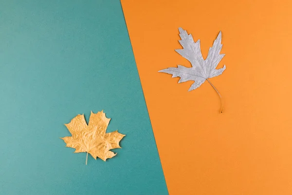 Autumn Fall Background.  Autumn Arrives. Minimal creative flat l — Stock Photo, Image