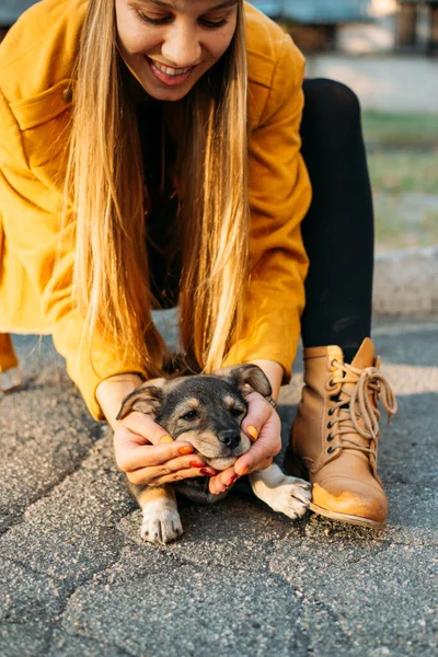 Wolontariuszka Spotyka Bezdomne Psie Szczeniaki Jesiennym Tle Natury Pet Love — Zdjęcie stockowe