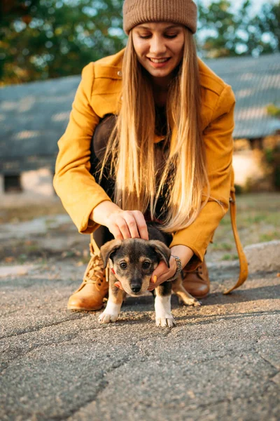 Wolontariuszka Spotyka Bezdomne Psie Szczeniaki Jesiennym Tle Natury Pet Love — Zdjęcie stockowe