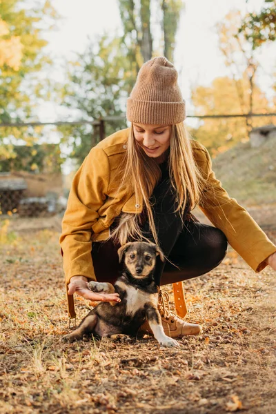 Wolontariuszka Spotyka Bezdomne Psie Szczeniaki Jesiennym Tle Natury Pet Love — Zdjęcie stockowe