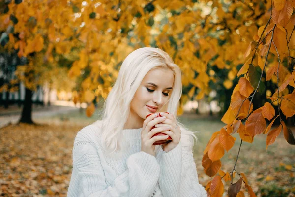 Schöne Blonde Frau Mit Herbstblättern Auf Herbst Natur Hintergrund Allein — Stockfoto