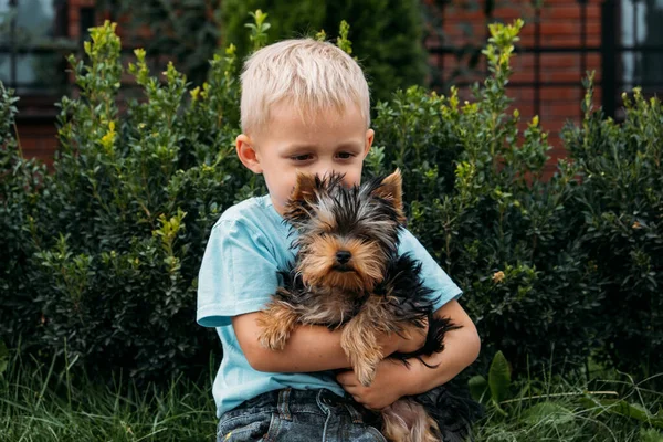 Chłopiec Psem Yorkshire Terrier Słodkie Dziecko Chłopiec Przytula York Terrier — Zdjęcie stockowe