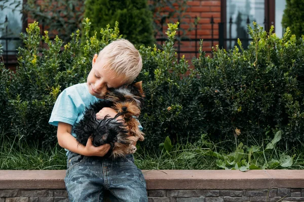 Jongen Met Yorkshire Terriër Hond Puppy Schattige Baby Jongen Knuffels — Stockfoto