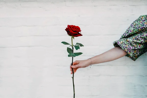 Poder Floral Signos Paz Detener Violencia Símbolo Pacífico Protesta Una — Foto de Stock