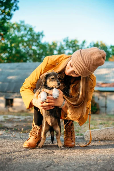 Ehrenamtliche Frau Trifft Obdachlose Hundewelpen Herbst Der Natur Tierliebe Pflege — Stockfoto
