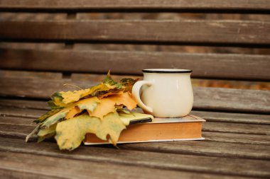 Sonbahar mevsimi modunda. Sonbahar yaprakları, kitap ve bir fincan kakao ahşap bankta. Sonbahar ruh hali arka planı