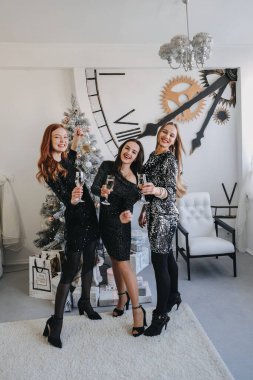 Noel fikirleri tecrit altında. Noel kutlaması, yeni yıl partisi, şenlikli aile toplantıları ve partiler. Üç güzel genç bayan Noel 'i küçük arkadaş grubuyla kutluyor..