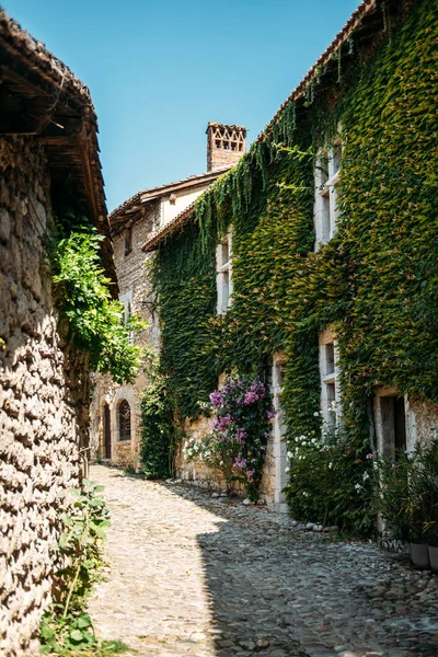 Parlak yaz ışığı altında kaldırım taşı caddesi boyunca çiçek açan sarmaşık kaplı taş ev. Kırsal Fransız estetiği, kırsal cazibe, romantik cepheler, şiirsel yaşam. Yüksek kalite fotoğraf