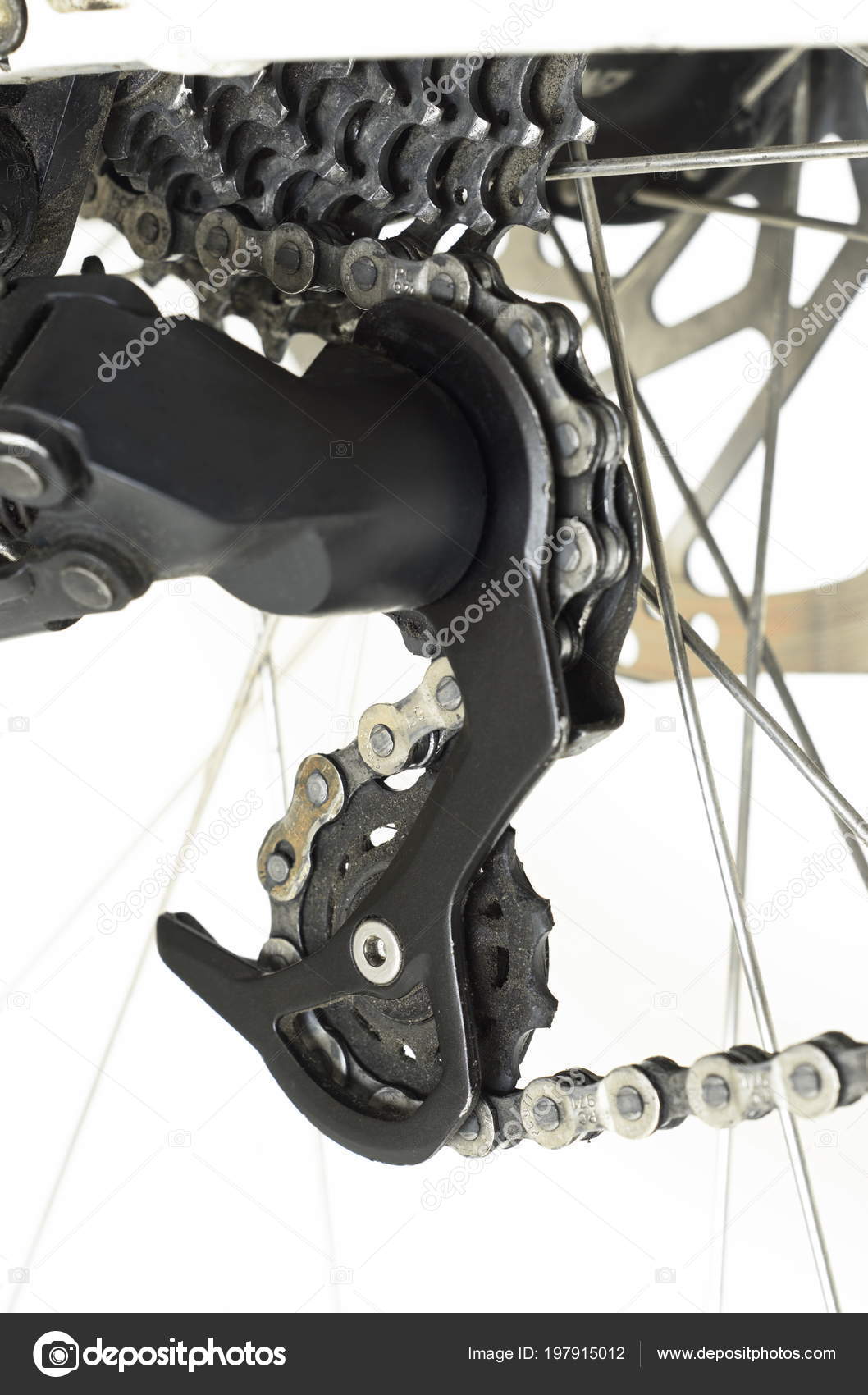bicycle rear gear