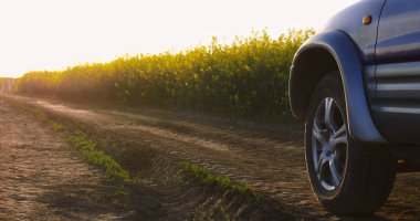 Araba ayrıntılı olarak günbatımı yumuşak ışık sahasında kolza tohumu