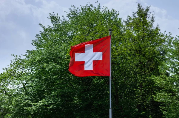 Swiss flag against green tree