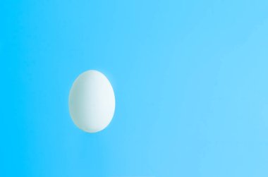 Hafif mavi zemine karşı izole tek beyaz yumurta