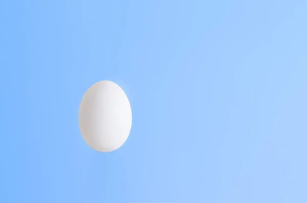 Одиночне Біле Яйце Ізольоване Світло Блакитному Тлі — стокове фото