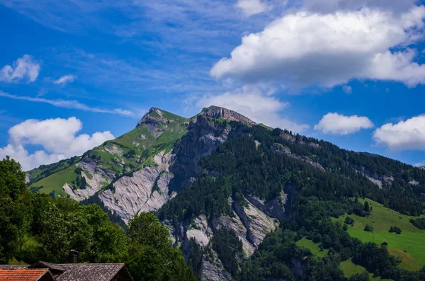 Paysage Montagne Suisse Herbe Verte Ciel Bleu Nuages Blancs Journée — Photo