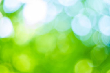 Yeşil bokeh yaprak, ufuk, Soyut, ışıklı