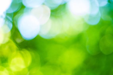Yeşil bokeh yaprak, ufuk, Soyut, ışıklı