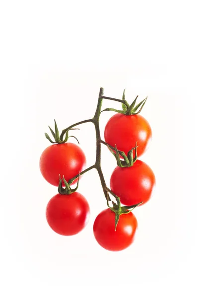 Tomates Rojos Cereza Tallo Aislado Sobre Fondo Blanco —  Fotos de Stock